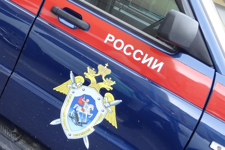 Фото предоставлено КП