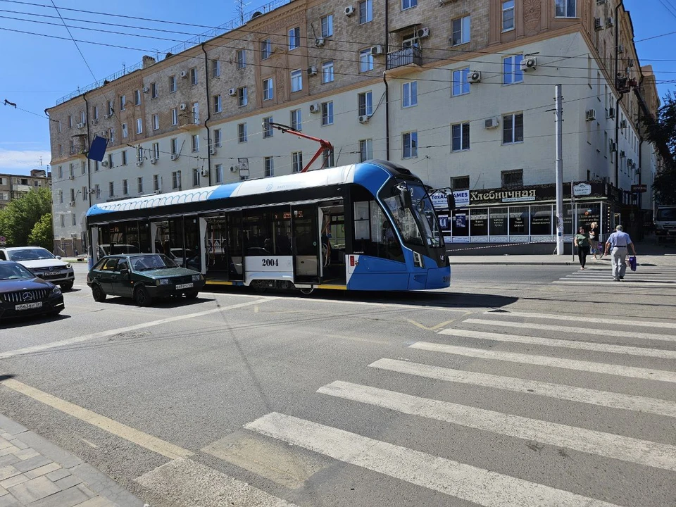 "Львята" уже перевозят пассажиров в Волгограде.