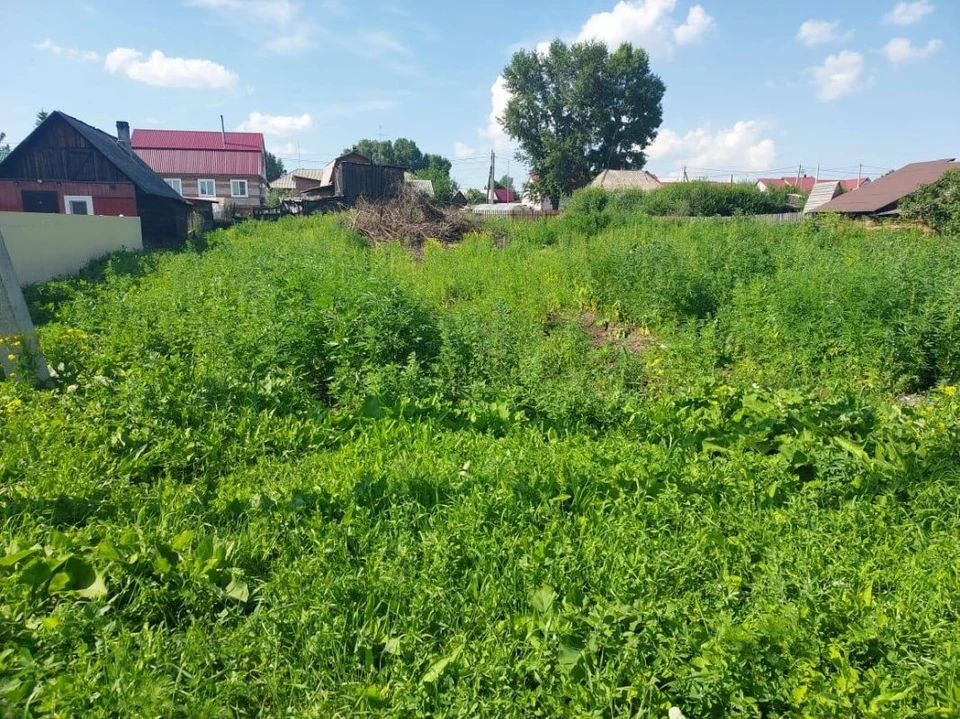 В отношении жителя Кузбасса было возбуждено уголовное дело. Фото: прокуратура Кузбасса