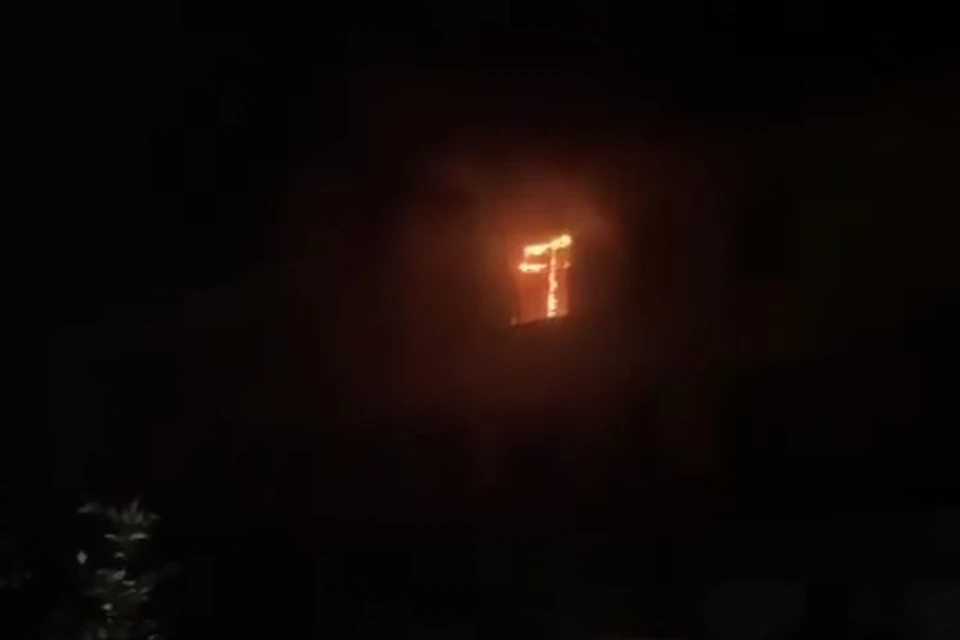 Фото: скриншот видео prim_info.