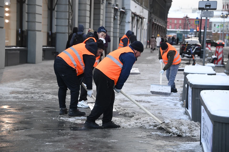 Ульяновская область растеряла дворников