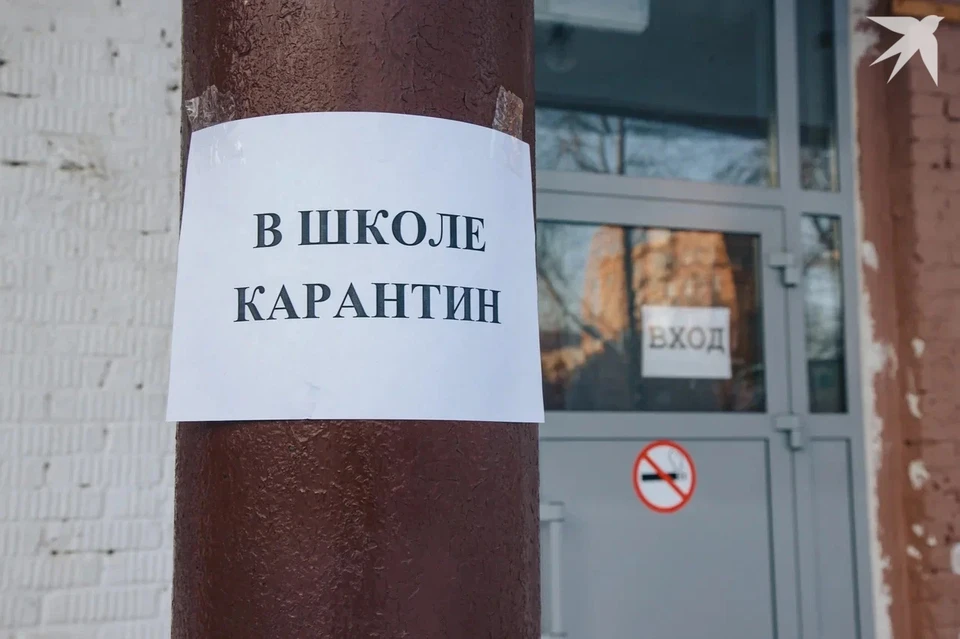 Вместо закрытия на карантин из-за болезней детей в школах и детсадах могут быть введены альтернативные меры