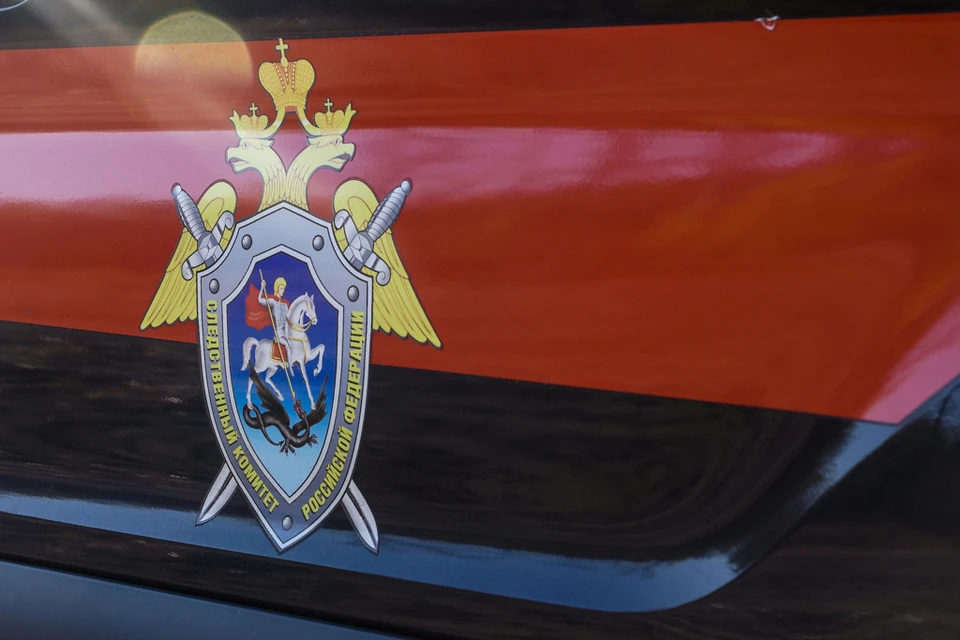 Следователи продолжают разбираться в обстоятельствах убийства детей в Тольятти