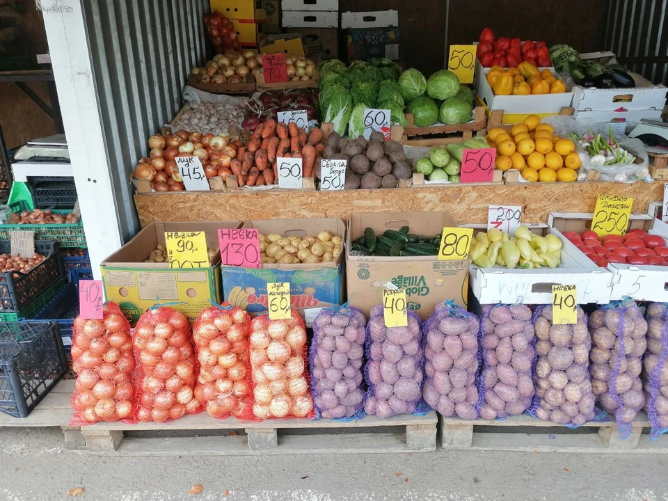 В Крыму выращивают разнообразную сельхозпродукцию
