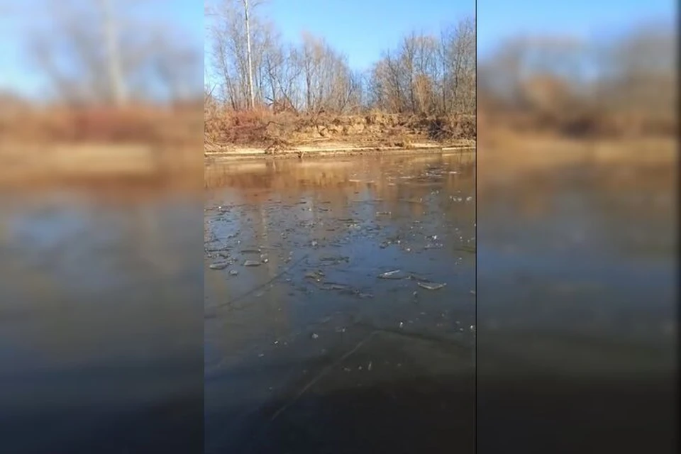 На водоемах образовался временный тонкий слой льда.