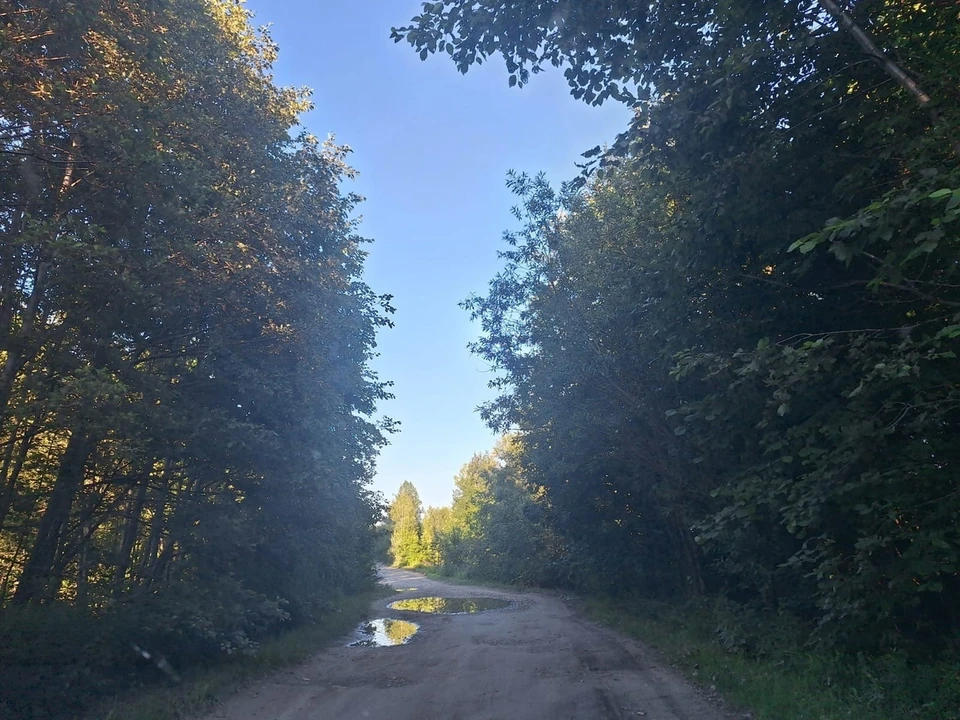 Фото: Прокуратура Владимирской области