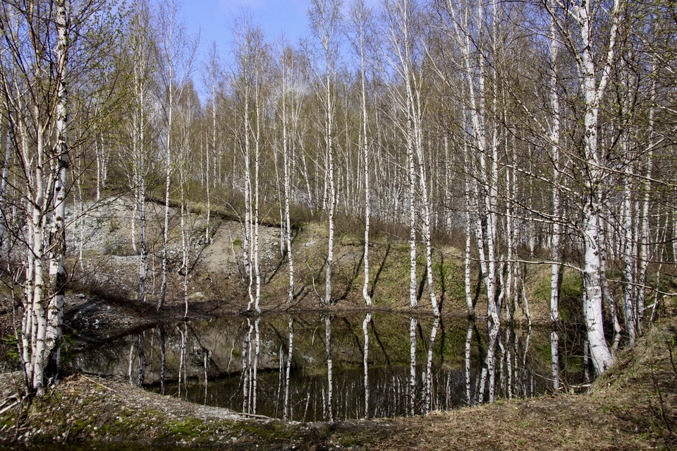 Фото: архив КП.