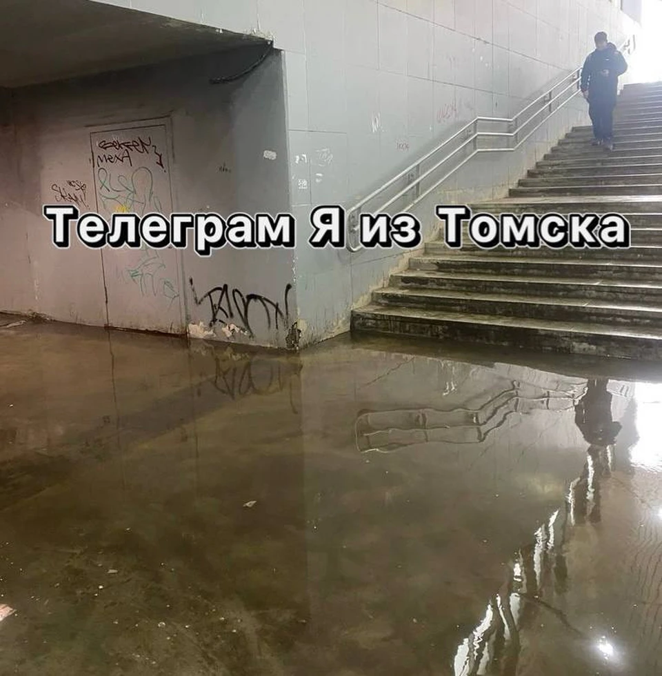 Фото: телеграм-канал "Я из Томска"