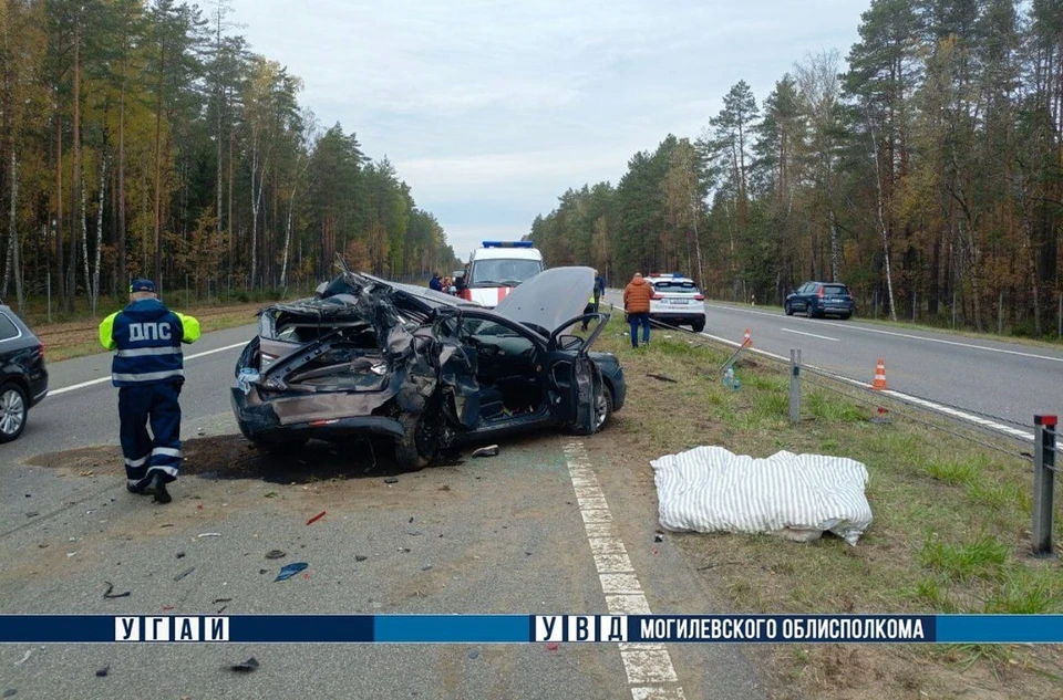 В Осиповичском районе произошло смертельное ДТП. Фото: УГАИ УВД Могоблисполкома.