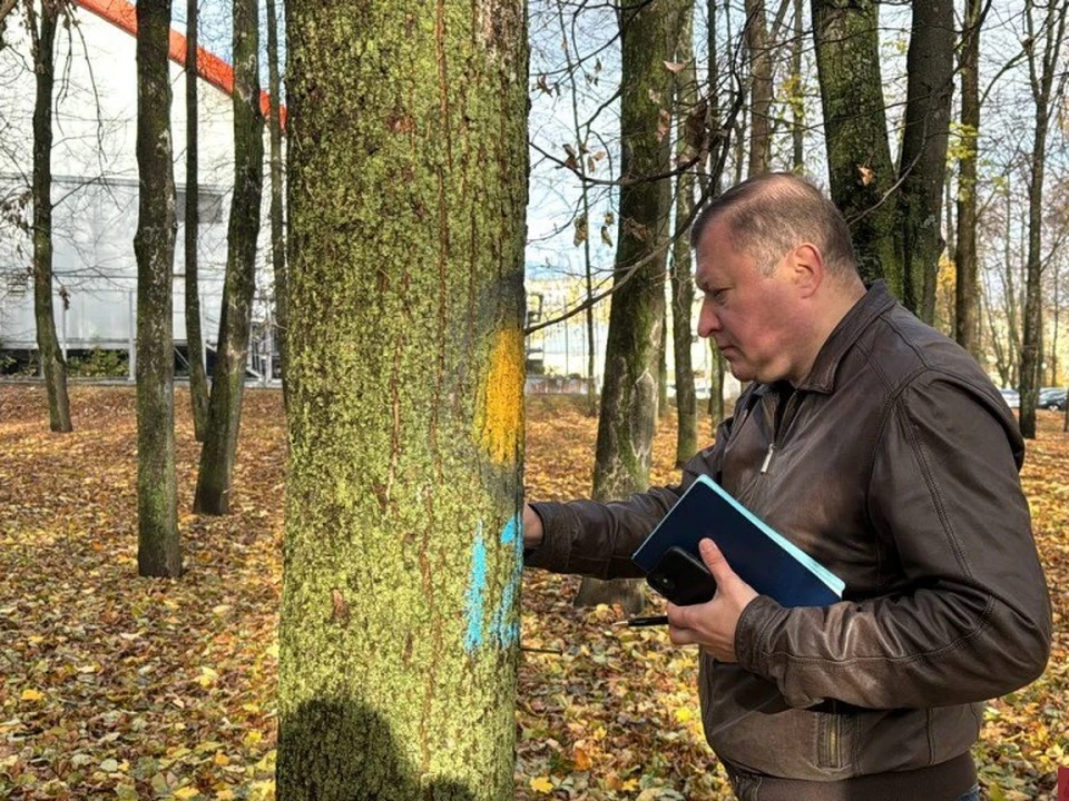 Сергей Сухопаров изучает одно из деревьев. Фото с сайта администрации города Владимира.