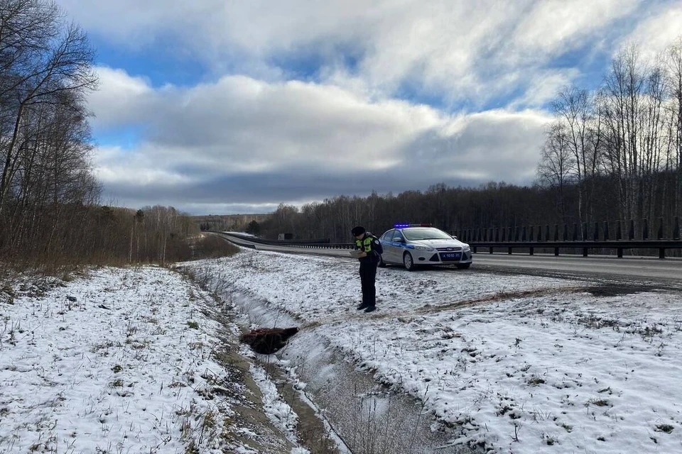 Фото: МВД по Красноярскому краю