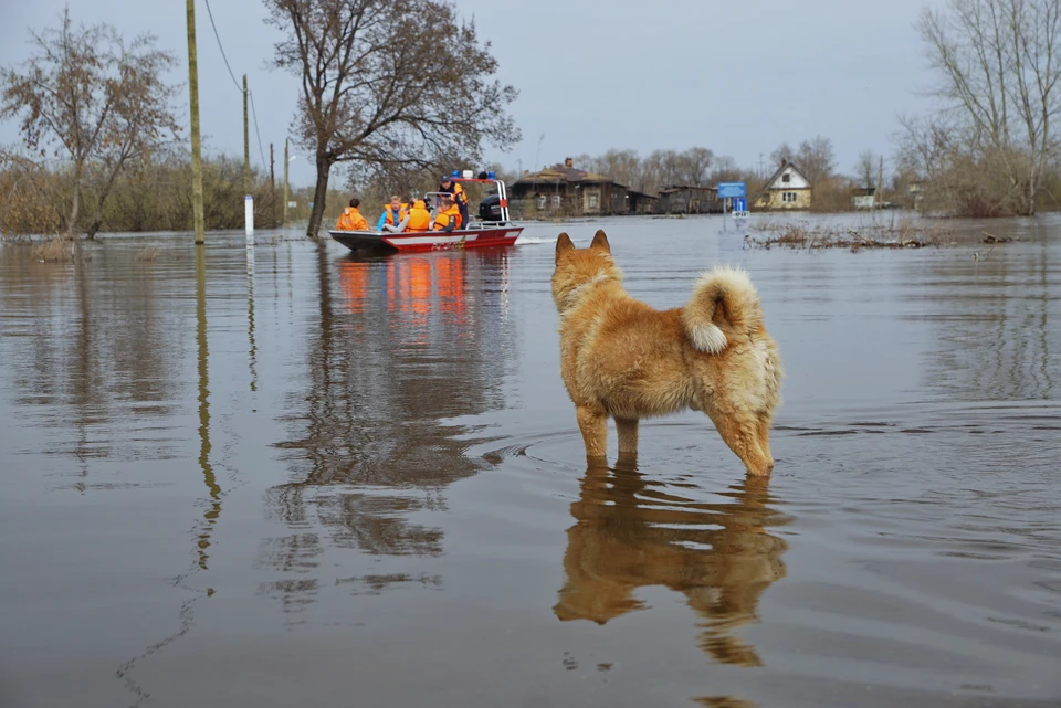 Местные опасаются, что вода вот-вот подойдет к домам.