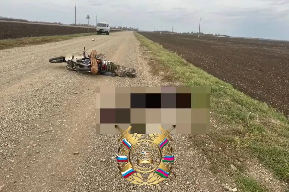 Пострадавший водитель скончался на месте происшествия Фото: пресс-служба УГИБДД ГУ МВД РФ по Краснодарскому краю