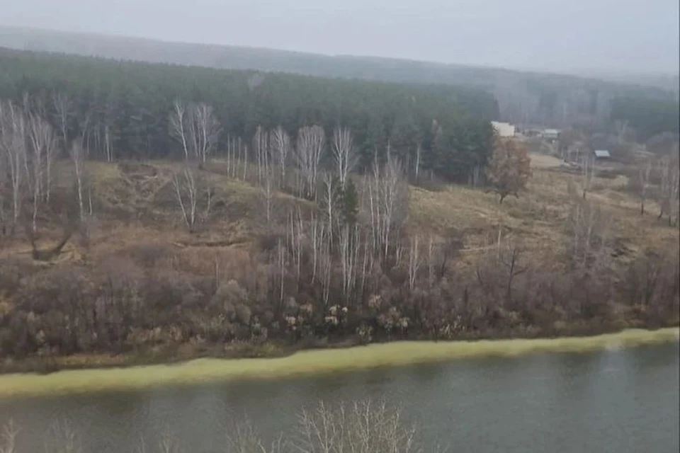 Пробы воды показали, что река действительно отравлена сбросами. Фото: предоставлено читательницей КП-Новосибирск