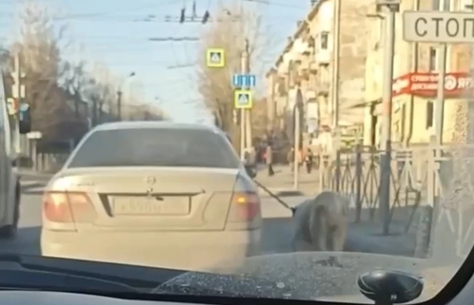 скриншот видео телеграм-канала «Омск с огоньком»