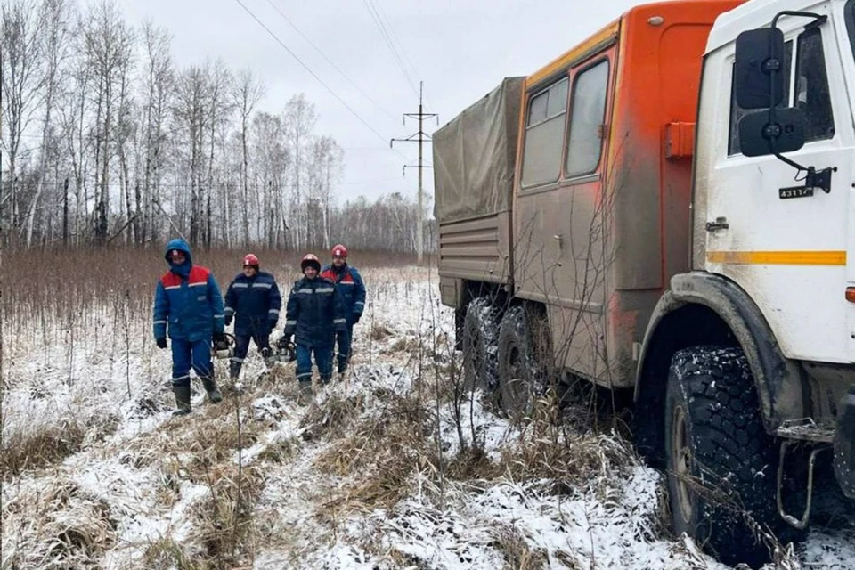 11 районов Новосибирской области остались без света из-за ветра. Фото: Россети Новосибирск