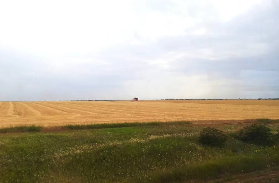 С 1961 по 2020 год на юге России росла среднегодовая температура