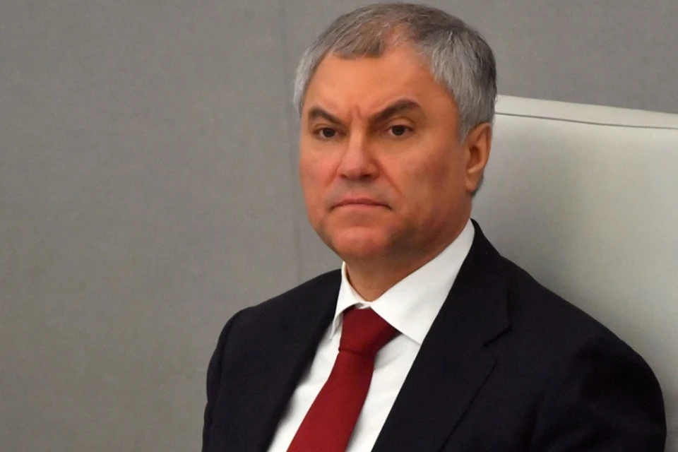 Володин: Госдума приняла обращение к правительству по поводу миграции