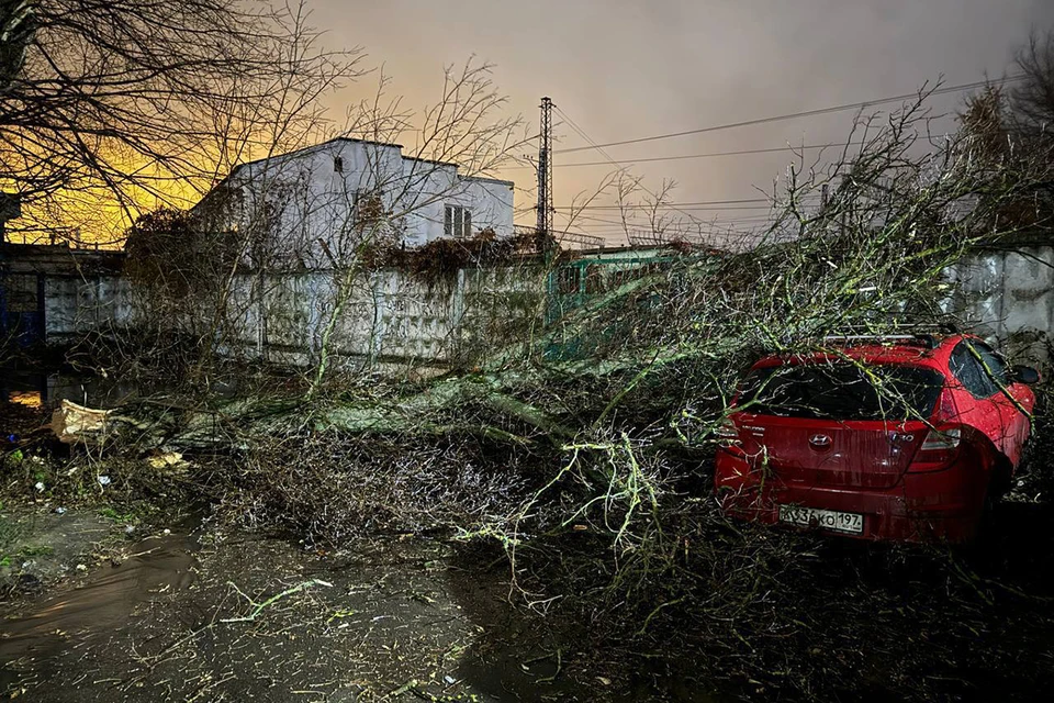 Фото: СОЦСЕТИ