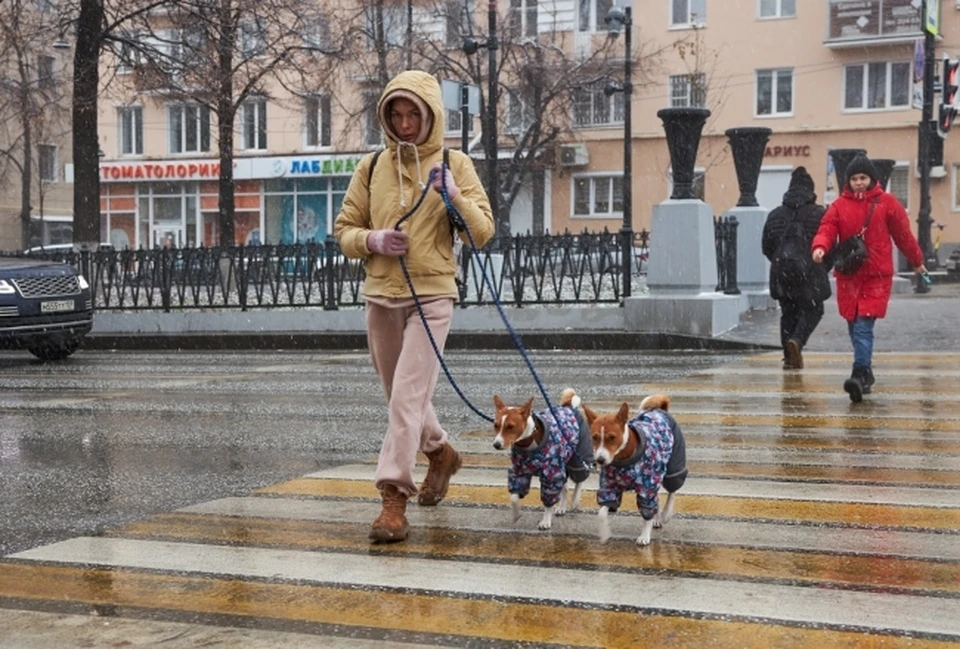 В ближайшие выходные в Нижнем Новгороде выпадет месячная норма осадков.