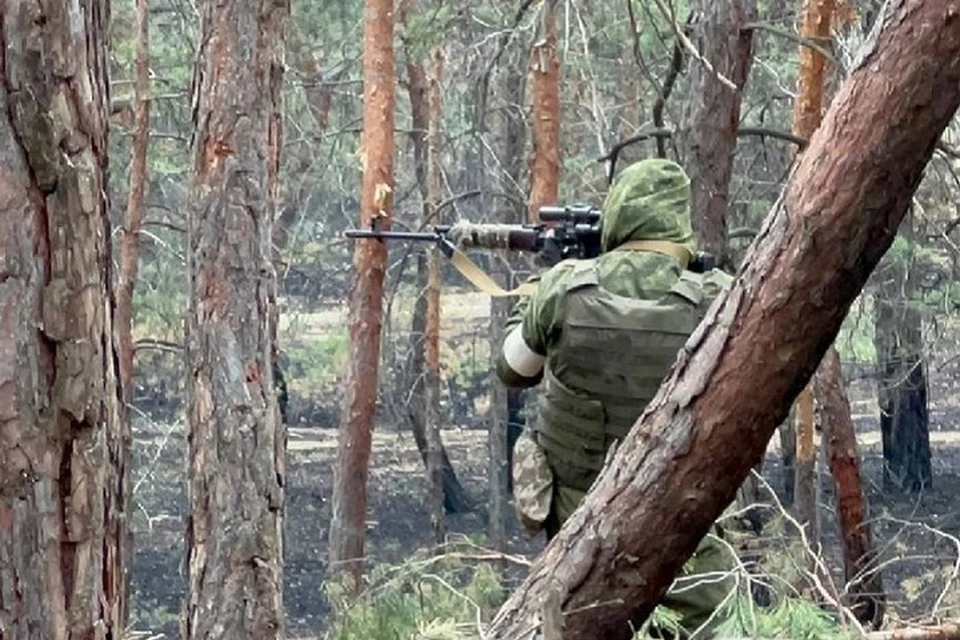 Группировка войск «Восток» улучшила положение по переднему краю в ДНР (архивное фото)