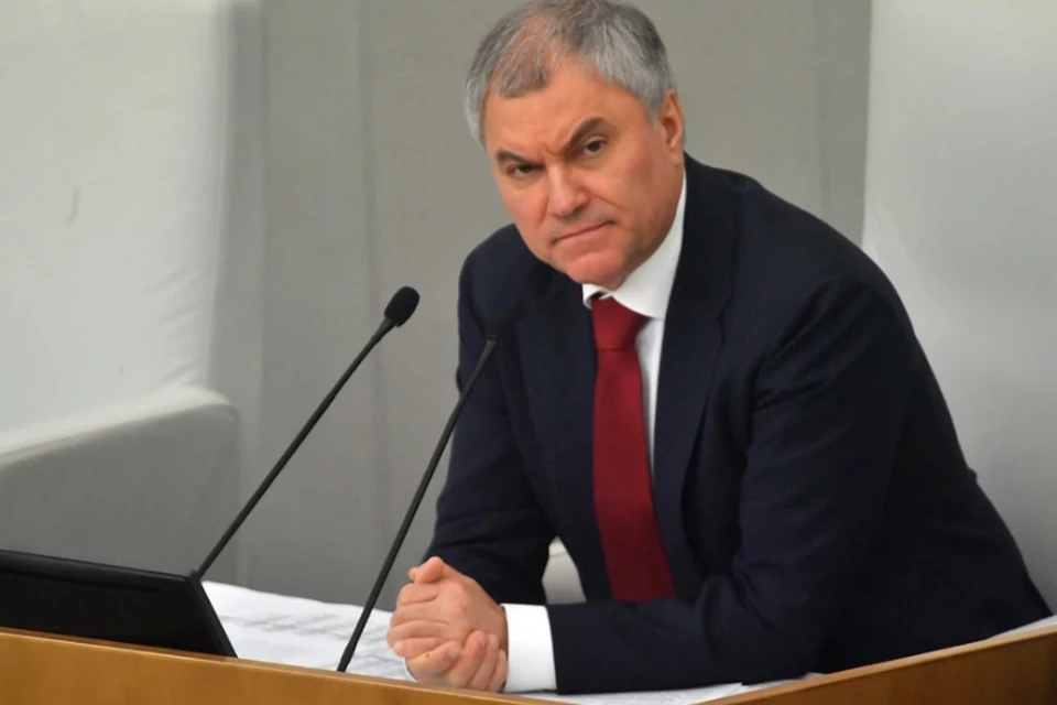 Володин: Родители массово жалуются на большие нагрузки в школах