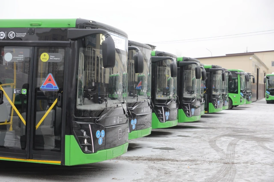 Фото: администрация Тюмени.