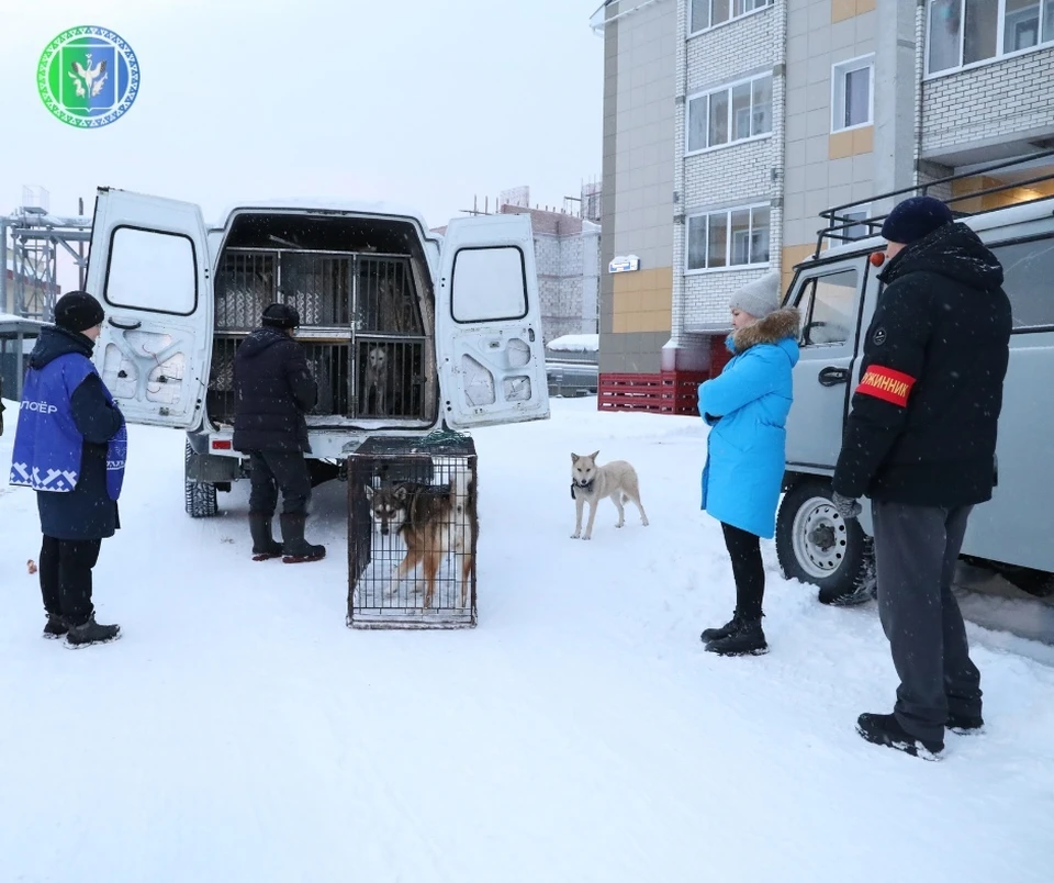 Фото: администрация Шурышкарского района