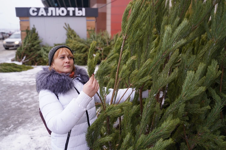 Елочные базары в Пензе: где купить елку в декабре 2024 года