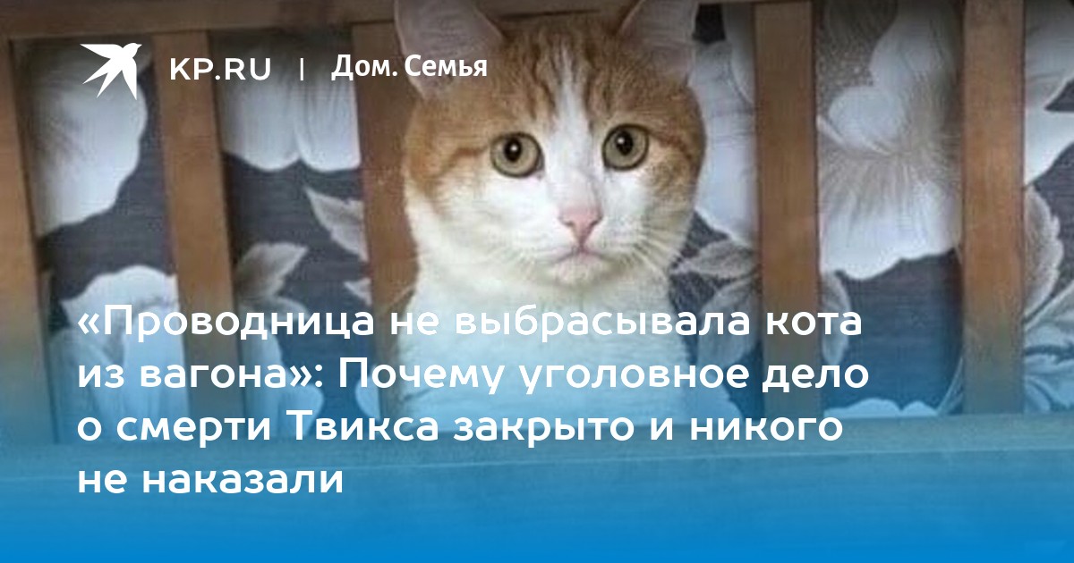 Умер кот
