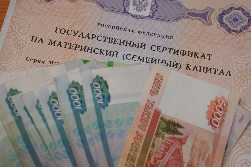 МВД: В России выявили более 700 фактов хищения маткапитала на неродившихся детей