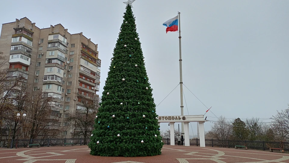 Новогоднюю елку установили на главной площади Мелитополя