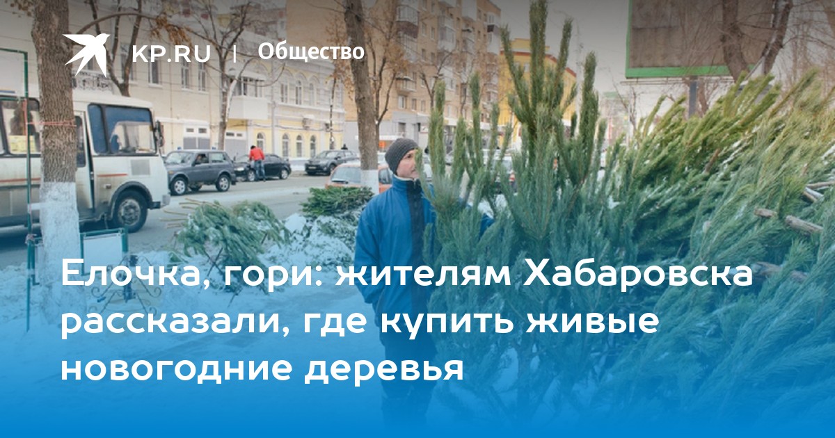 Где Можно Купить Компрессор Для Холодильника