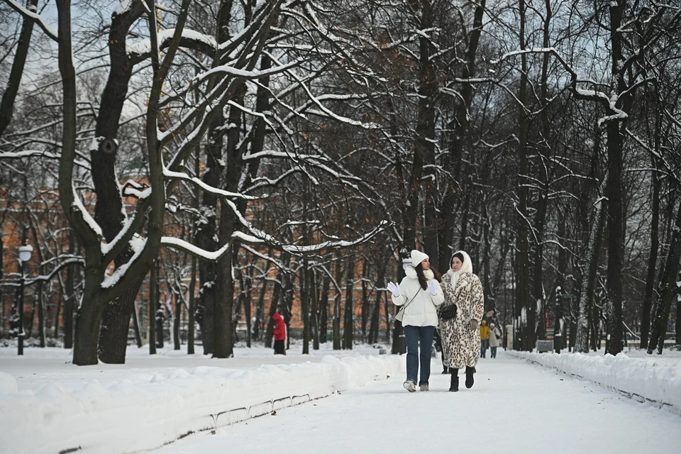 В Петербурге продолжает держаться теплая погода.