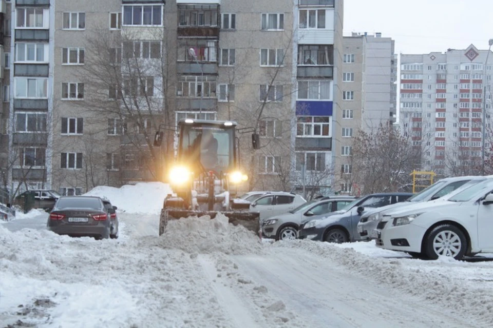 Рейды проводятся ежедневно. Фото: администрация Ижевска