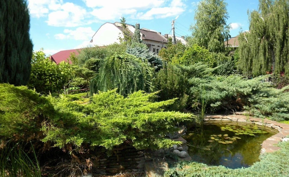 Фото: соцсети