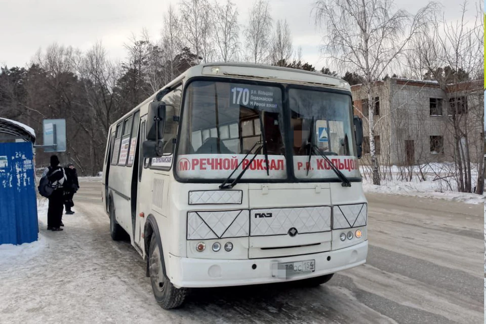 Жители поселка Двуречье остались без единственного автобуса до Новосибирска. Фото: Предоставлены местными жителями