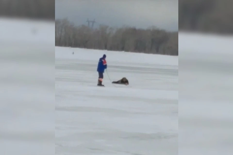 Мастер цеха бросился на помощь утопающему в ледяной воде