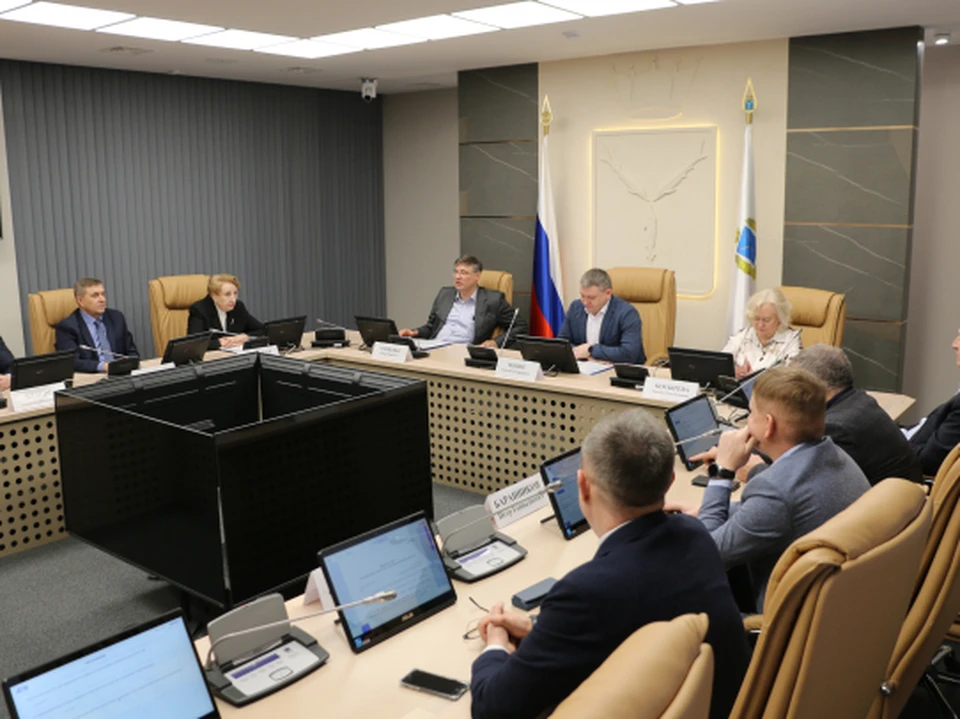 На следующем заседании планируется изменить структуру органа, избрать председателя и новых руководителей комиссий.