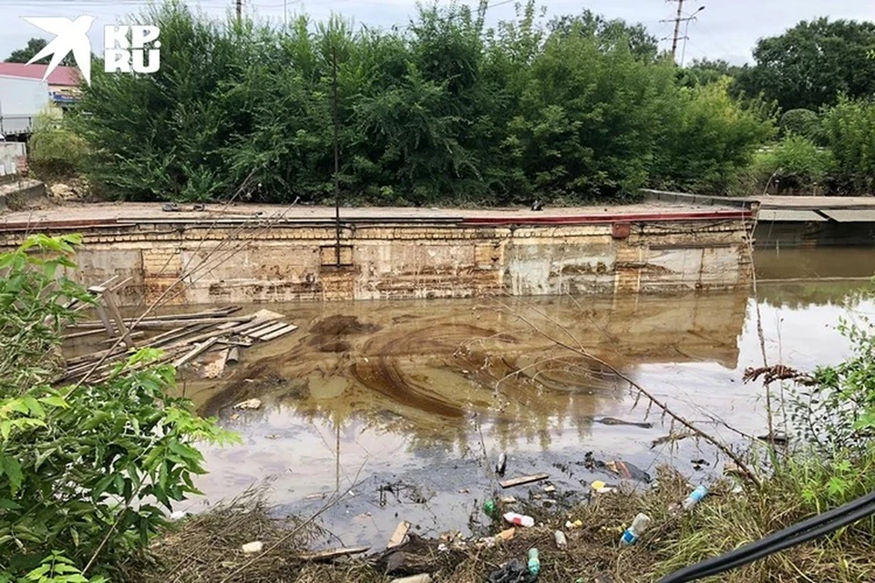 Воду затянуло маслянистой пленкой