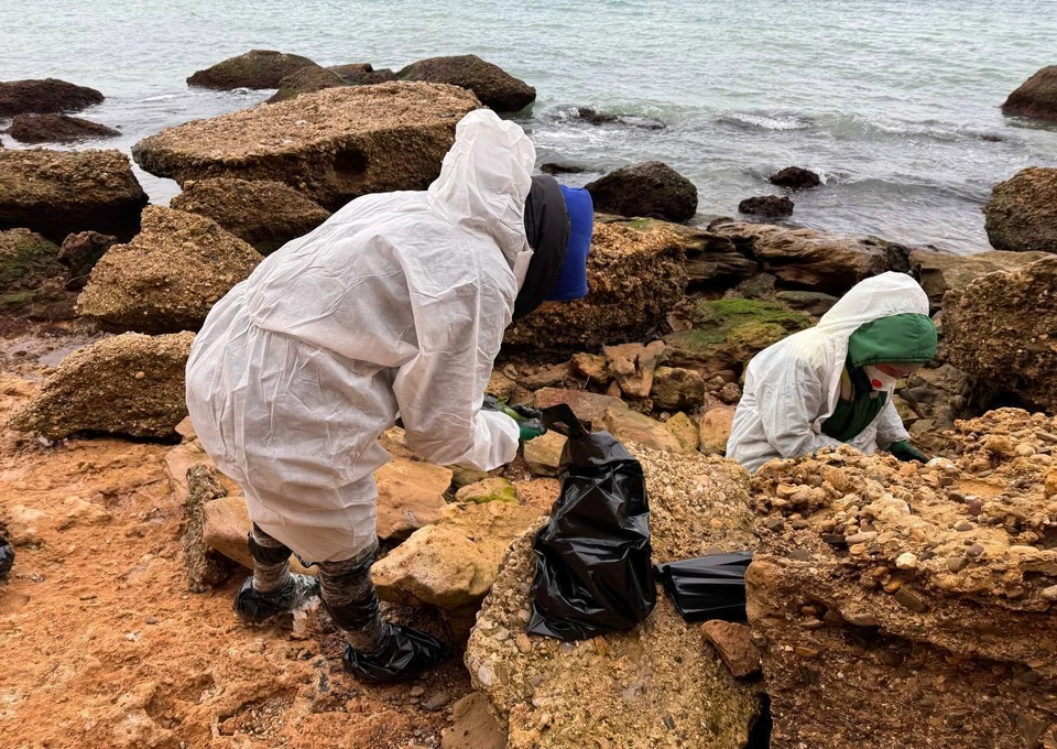 Мероприятия идут ежедневно. Фото: телеграм-канал Михаила Развожаева