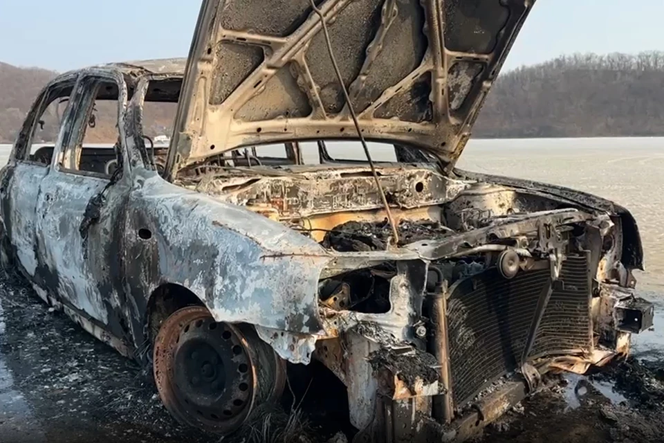 По каким причинам произошло возгорание, неизвестно. Фото: dpscontrol_125.