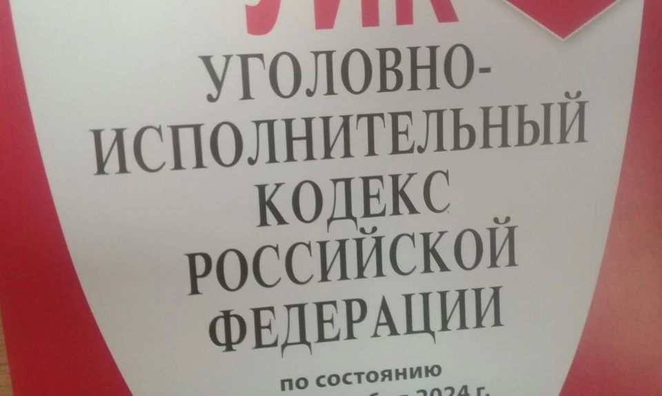 В соответствии с частью 3 статьи 159.2 УК РФ («Мошенничество при получении выплат») фигуранту грозит до шести лет тюрьмы.