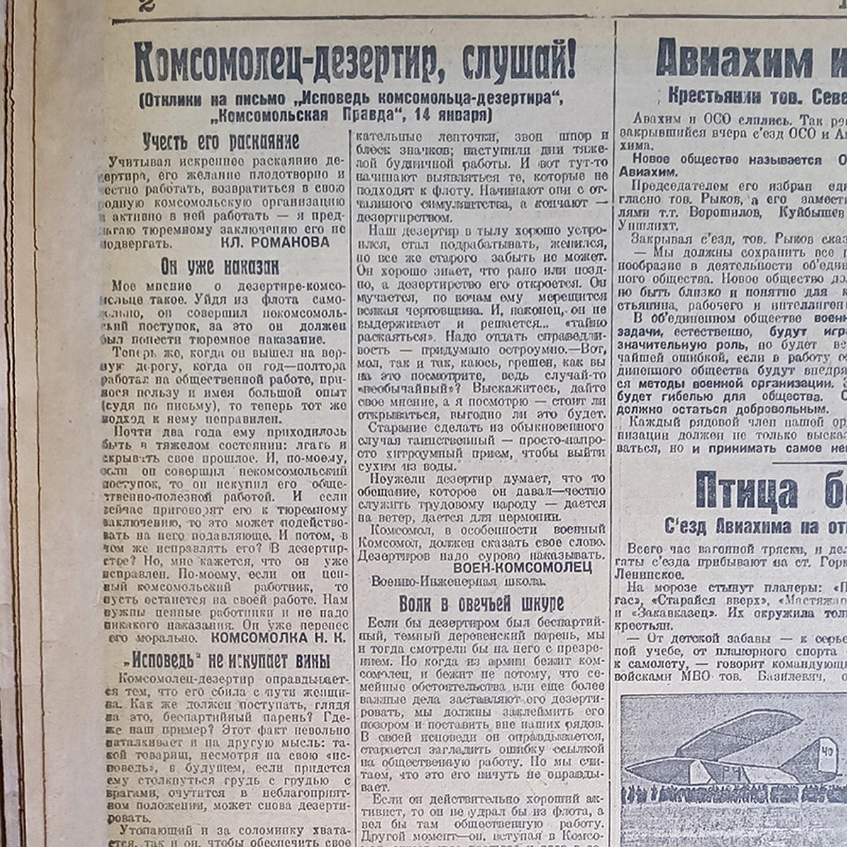 Жыныстық жануарлар