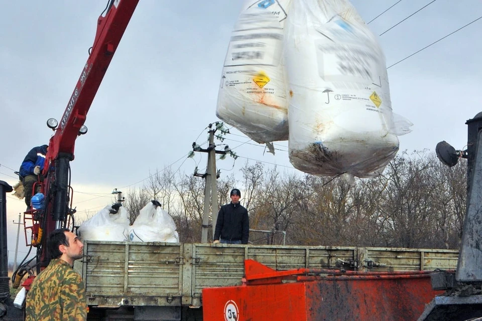 Особое внимание надо уделить подбору ранневесенних подкормок.