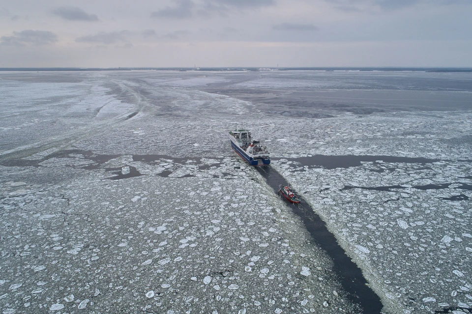 Фото: ГК "ФОР"