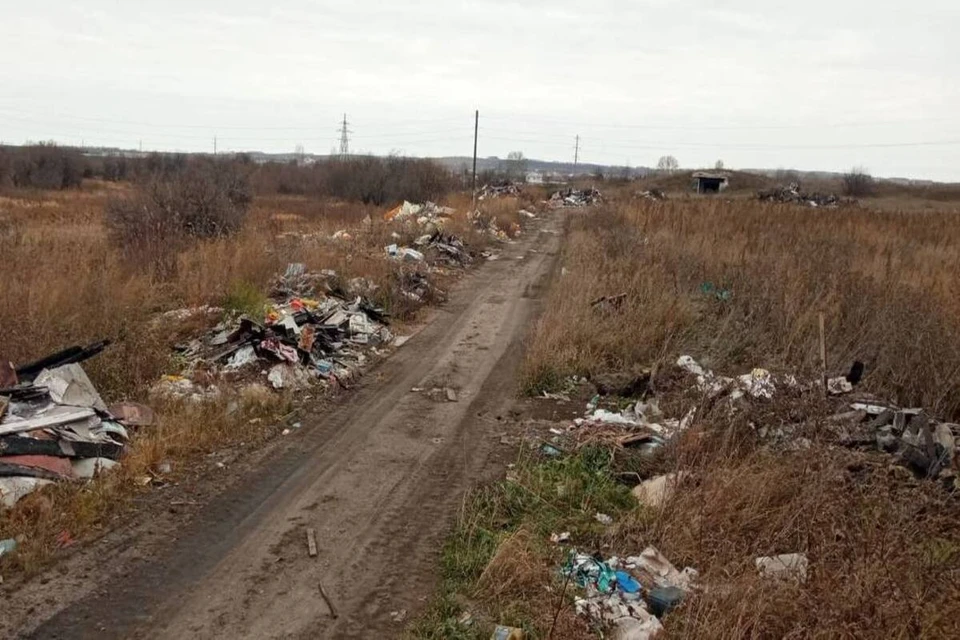 Обогатиться на уборке мусора не удалось. Фото: прокуратура Красноярского края