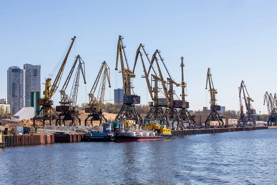 Компанию из Хабаровского края наказали за нарушение правил перевозки крабов