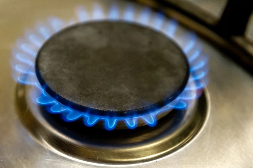 Программа догазификации охватит 8 тысяч участков в 236 СНТ
