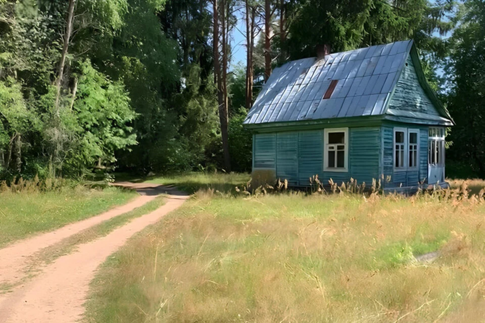 Живописные виды окрестностей. Фото: Российский аукционный дом.